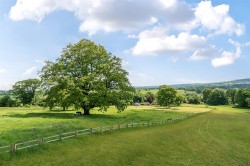Images for Whatley, Winsham,