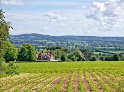Images for Underdown Hollow, Sherborne