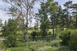 Images for Granta Mead Close, Newport, Saffron Walden