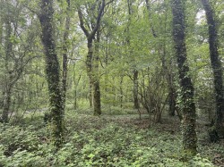 Images for Dulford, Cullompton