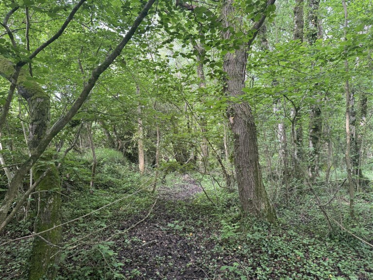 Images for Dulford, Cullompton