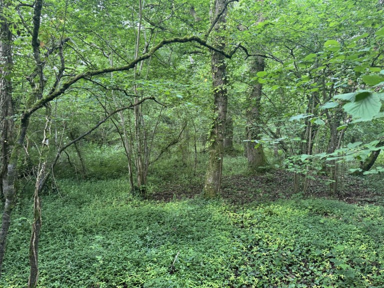 Images for Dulford, Cullompton