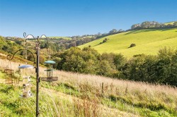 Images for Duloe, Liskeard