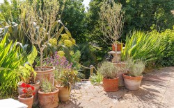 Images for St Lawrence, Isle of Wight