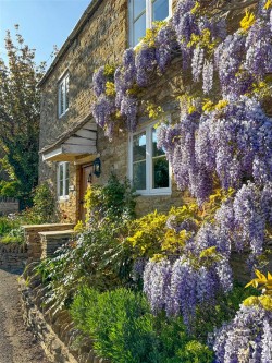 Images for Great Rollright, Oxfordshire