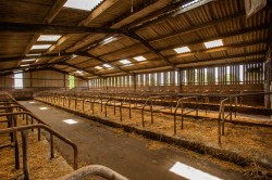 Images for Morchard Bishop, Crediton
