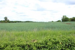 Images for Watling Street, Grendon, Atherstone, CV9