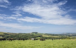 Images for Lower Kingston Russell Farm, Long Bredy