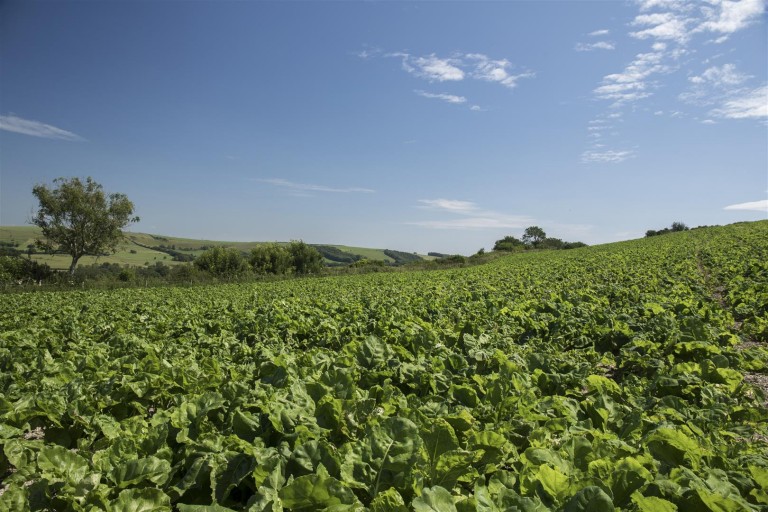Images for Lower Kingston Russell Farm, Long Bredy