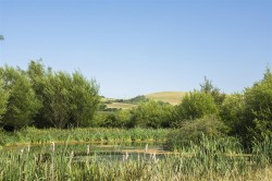 Images for Land at Lower Kingston Russell Farm, Long Bredy