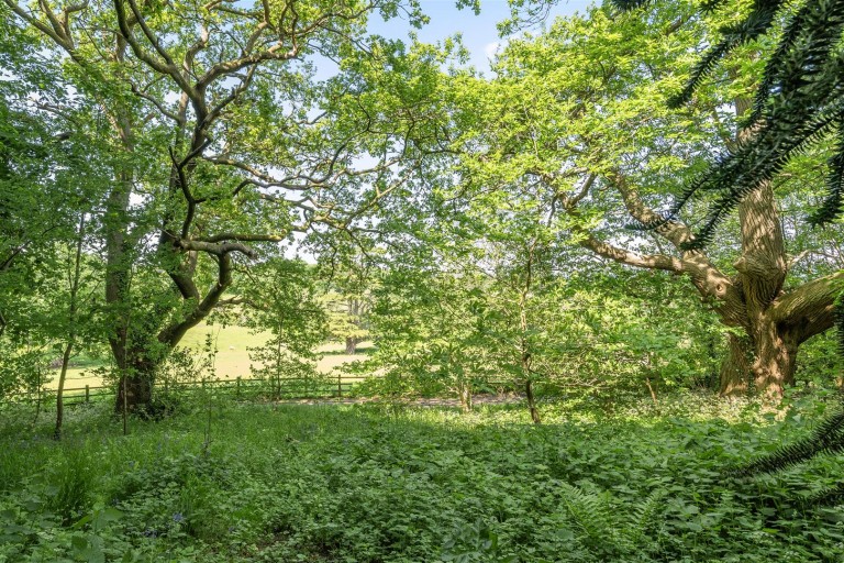 Images for Chapel Hill, Uffculme, Cullompton
