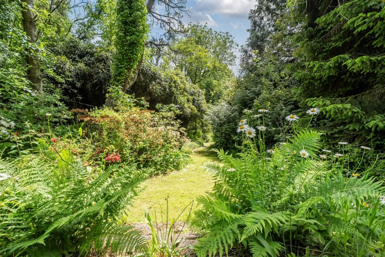 Images for Dinhams Bridge