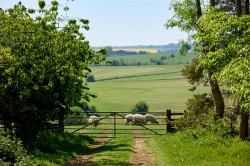 Images for Fulbrook, Oxfordshire