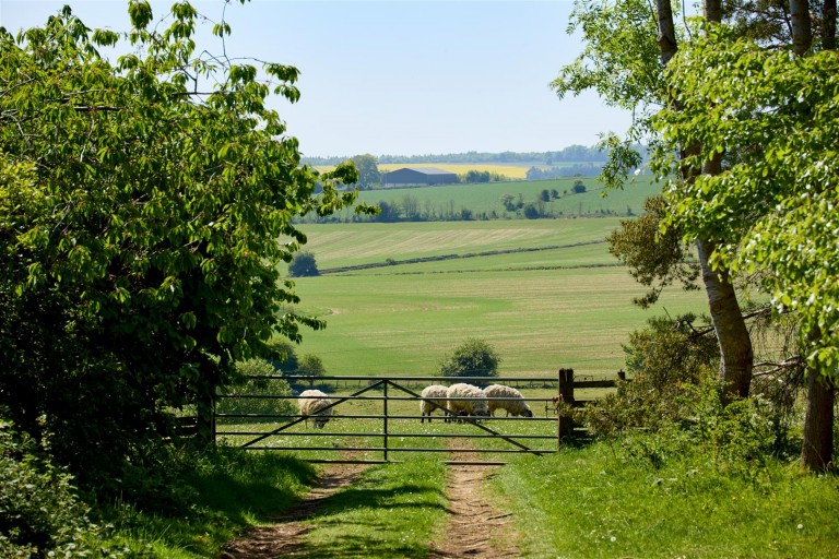 Images for Fulbrook, Oxfordshire