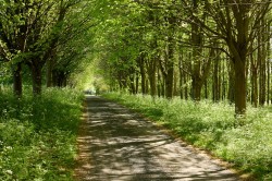 Images for Fulbrook, Oxfordshire