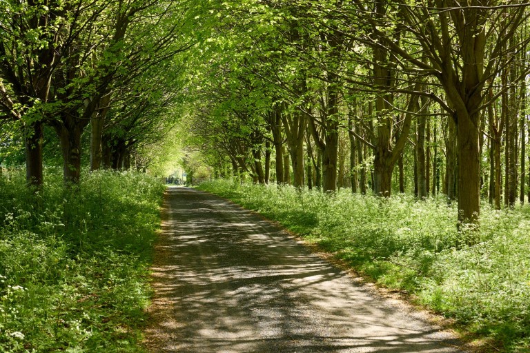 Images for Fulbrook, Oxfordshire