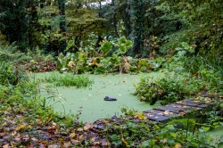 Images for Beaminster