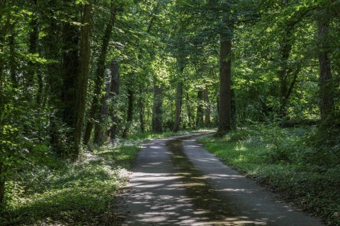 Click the photo for more details of Nr Bibury, Gloucestershire