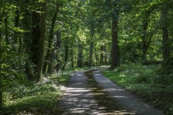 Images for Nr Bibury, Gloucestershire