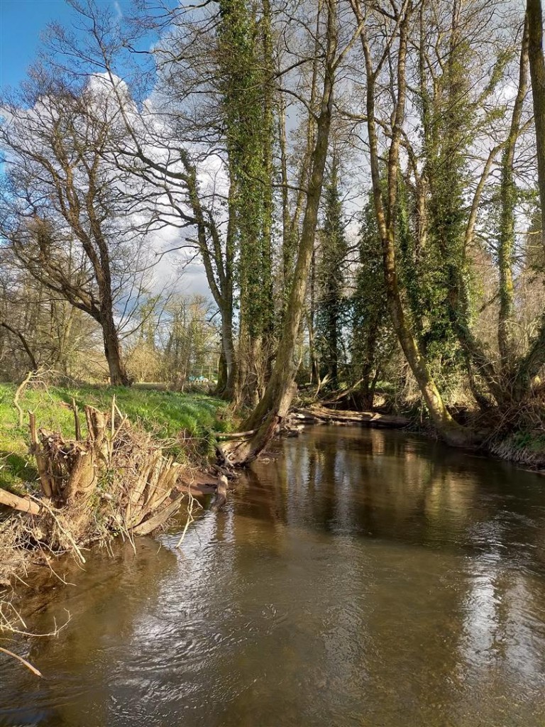 Images for Wellisford, Wellington