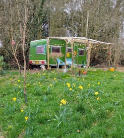 Images for Wellisford, Wellington