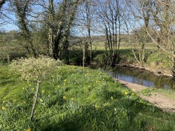 Images for Wellisford, Wellington