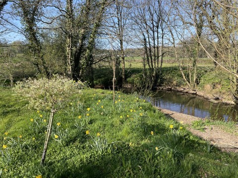 Click the photo for more details of Wellisford, Wellington