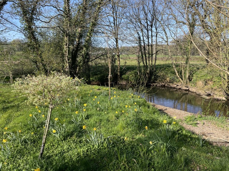 Images for Wellisford, Wellington