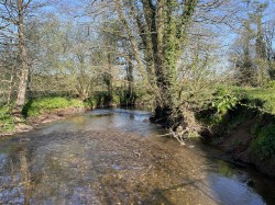 Images for Wellisford, Wellington