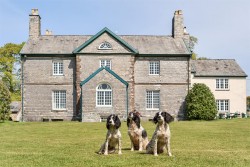 Images for Dulverton