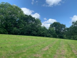 Images for Morchard Bishop, Crediton