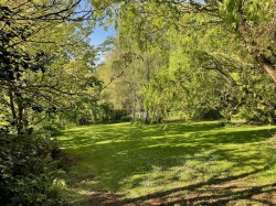 Images for Langford Budville, Wellington