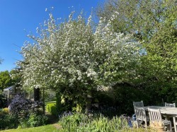 Images for Langford Budville, Wellington
