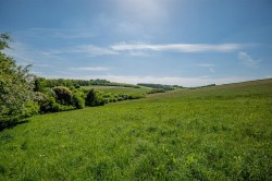 Images for Frampton Park