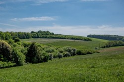 Images for Frampton Park