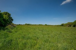 Images for Frampton Park