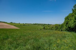 Images for Frampton Park