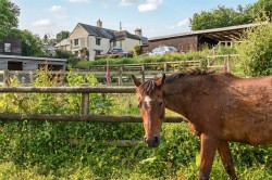 Images for Lewdown, Okehampton