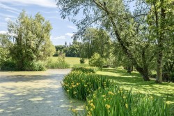 Images for Ammerham, Winsham, Chard