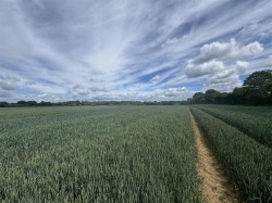 Images for Hinton Martell, Gaunts, Wimborne
