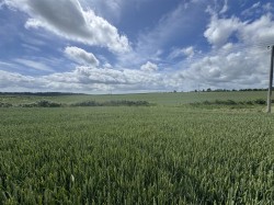 Images for Hinton Martell, Gaunts, Wimborne