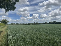 Images for Hinton Martell, Gaunts, Wimborne