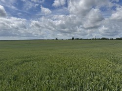 Images for Hinton Martell, Gaunts, Wimborne