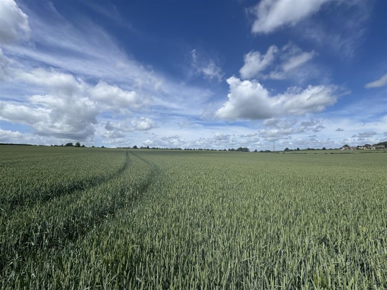 Images for Hinton Martell, Gaunts, Wimborne