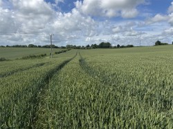 Images for Hinton Martell, Gaunts, Wimborne
