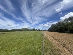 Images for Hinton Martell, Gaunts, Wimborne