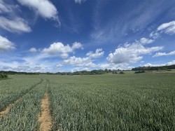 Images for Hinton Martell, Gaunts, Wimborne