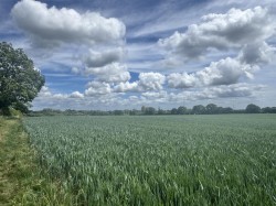 Images for Hinton Martell, Gaunts, Wimborne