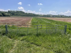 Images for Somerton