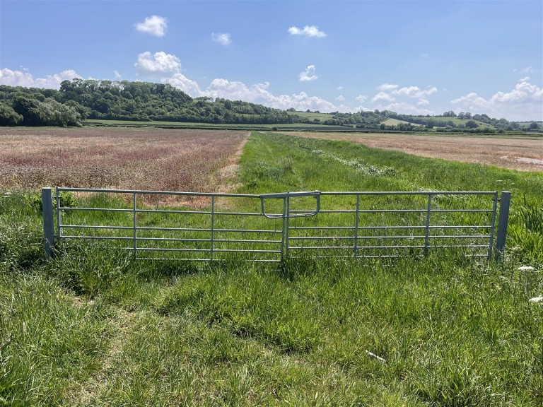 Images for Somerton
